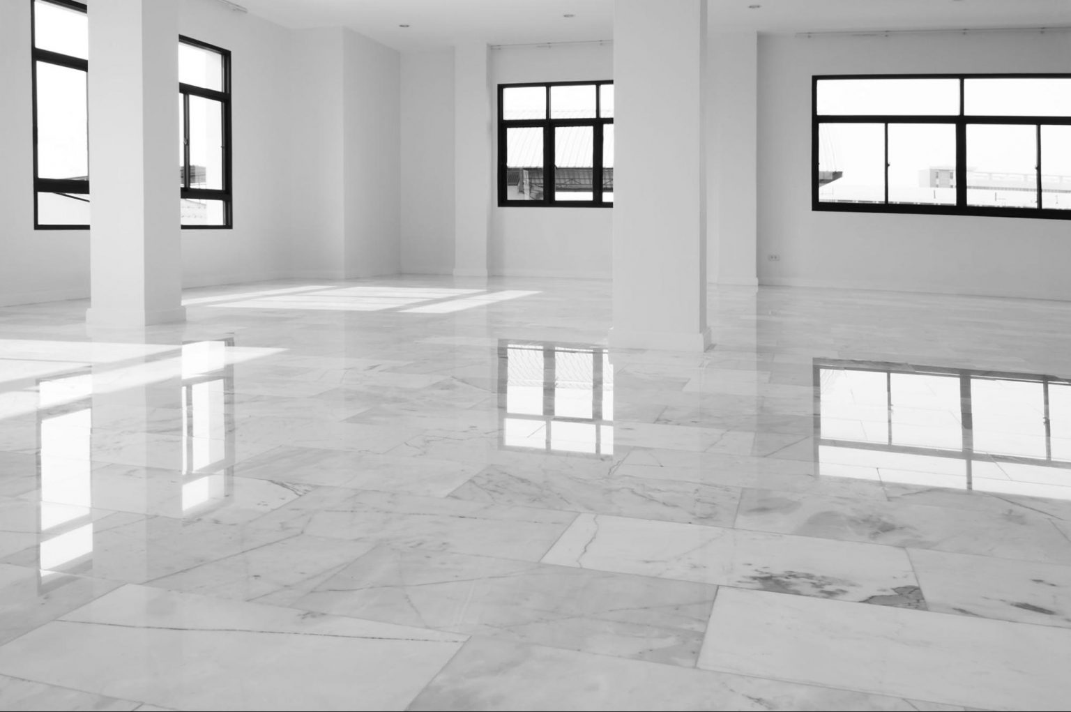 Gallery 5